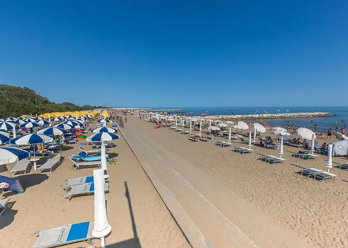 Robinia/pinetine Lido Altanea